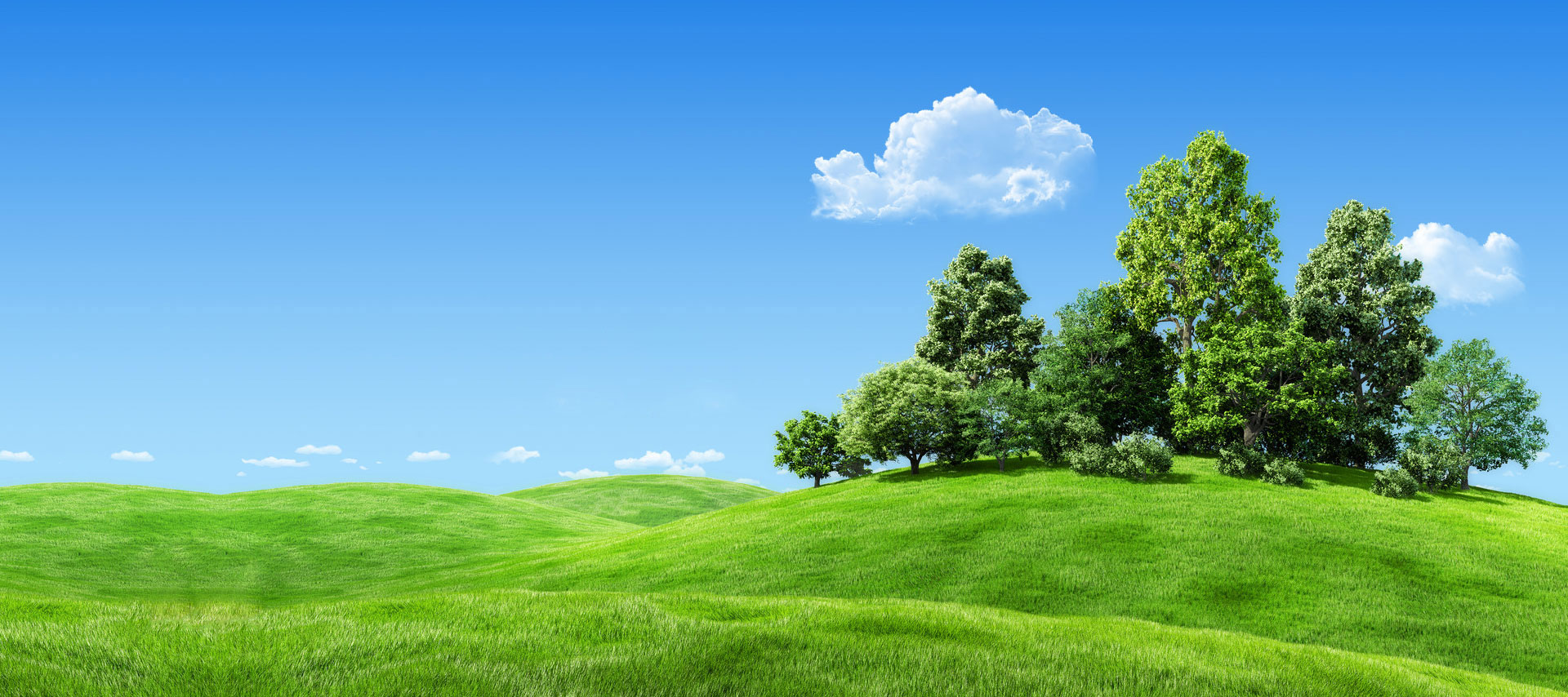 SBF - Biodiesel Schweiz